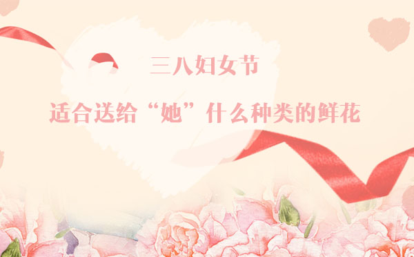三八婦女節，適合送給“她”什么種類的鮮花？